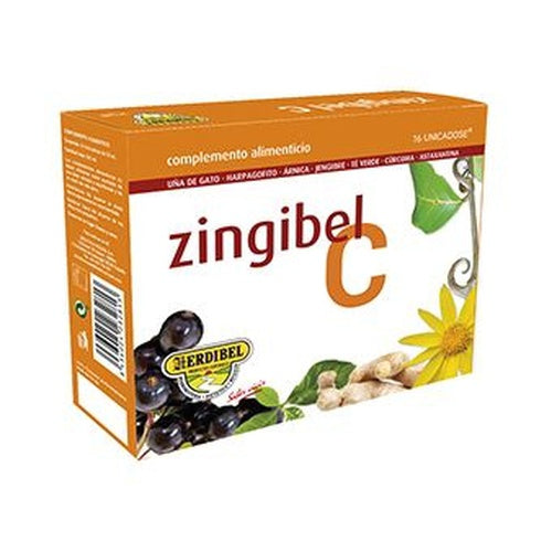Zingibel 16 ampollas