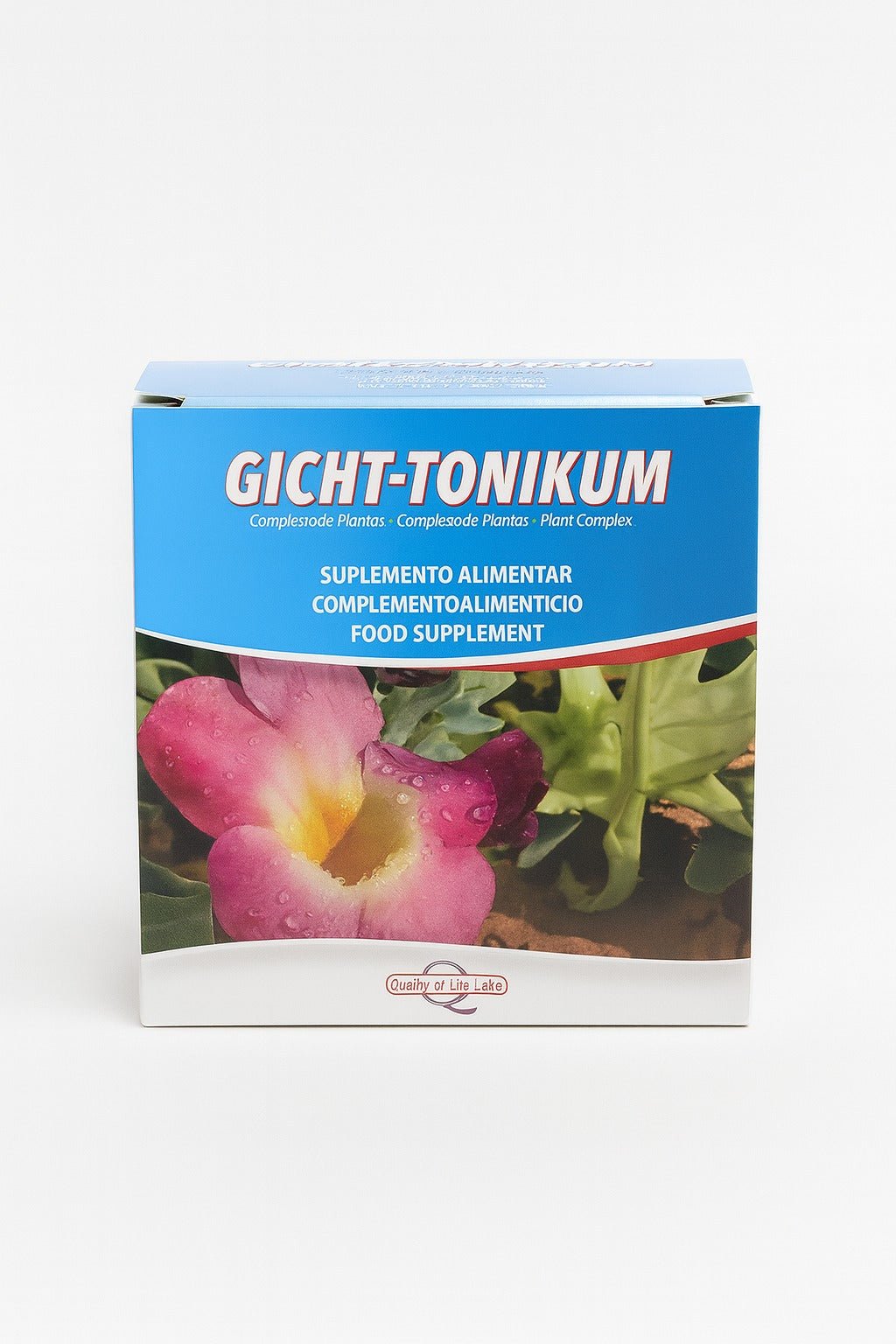 GICHT TONIKUM 20 ampollas